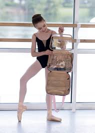 Nikolay Marvel pointe shoe bag
