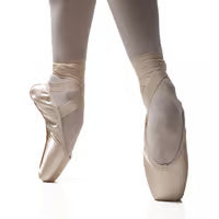 R-Class Arpeggia Soft Shank Pointe Shoe
